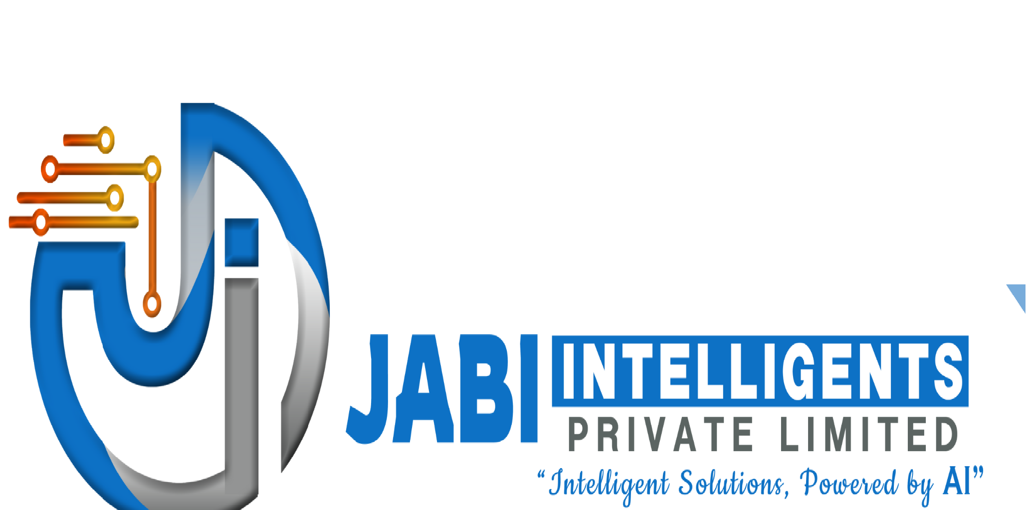 Jabi Intelligents Private Limited